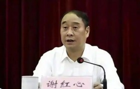 安徽省马鞍山市人大常委会原副主任谢红心被提起公诉